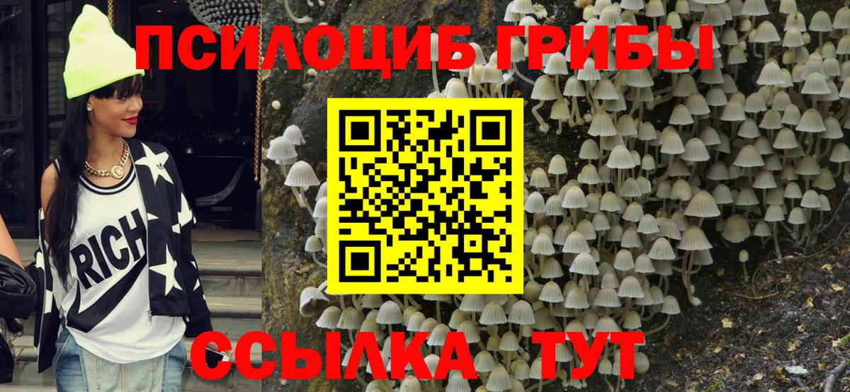 Псилоцибиновые грибы Cubensis Мариинск