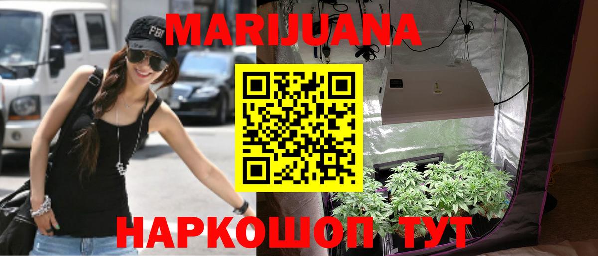 Каннабис планчик  Вход с VPN  Бошки марихуана Amnesia  Мариинск  Шишки марихуана план 
